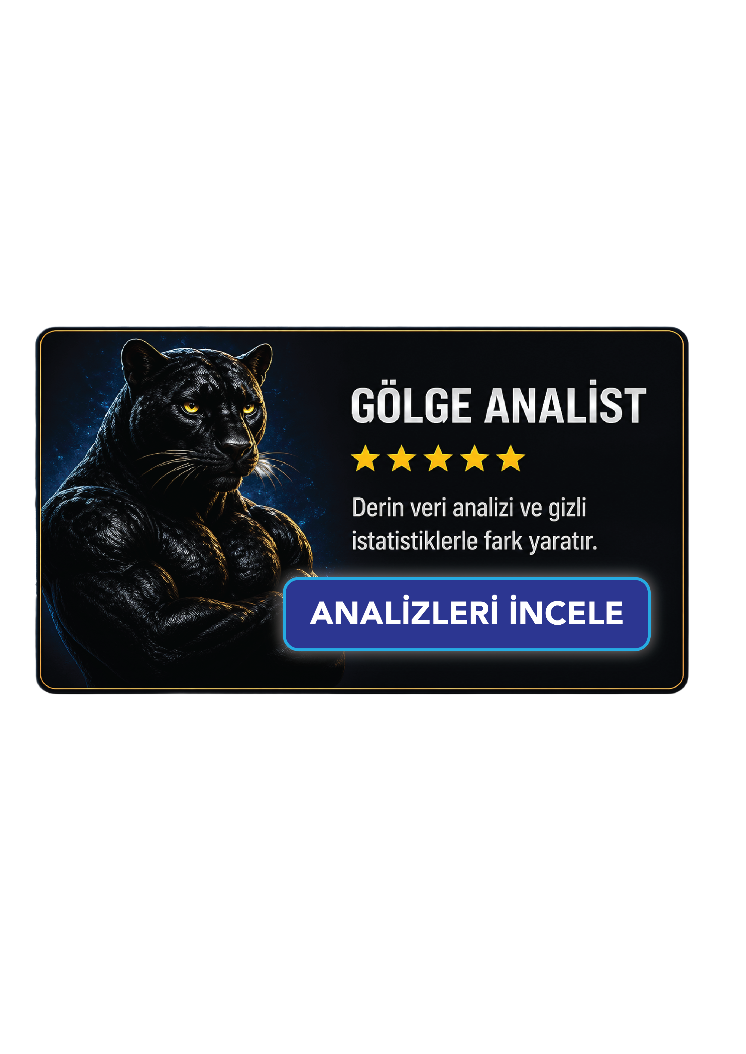 Gölge analist